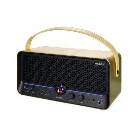 MOOER F40i Li Gold