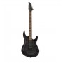 LARRY CARLTON Y5 Trans Black