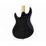 LARRY CARLTON Y5 Trans Black
