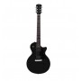 LARRY CARLTON L3 HH Black Satin