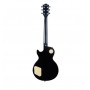 EKO LS-300 Honey Burst Visual Note