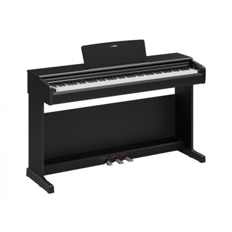 YAMAHA YDP-146B Black