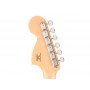 FENDER Paranormal Troublemaker Telecaster Deluxe Bigsby LRL Honey Sunburst