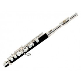 SOUNDSATION SFP-10