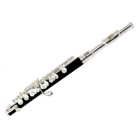 SOUNDSATION SFP-10
