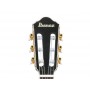 IBANEZ TOD20FMN-BFL Tim Henson Black Burst Fade