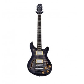 LARRY CARLTON Q7 Hollow Transparent Black