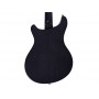 LARRY CARLTON Q7 Hollow Transparent Black