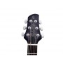 LARRY CARLTON Q7 Hollow Transparent Black
