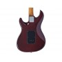LARRY CARLTON S7 Ash Top Nat