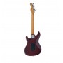 LARRY CARLTON S7 Ash Top Nat