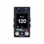 WALRUS AUDIO Canvas Midi Clock