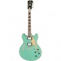 D'ANGELICO Premier Dc Surf Green