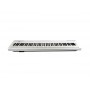 ECHORD EP88 White