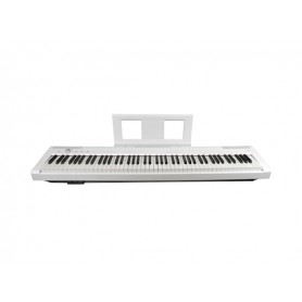 ECHORD EP88 White