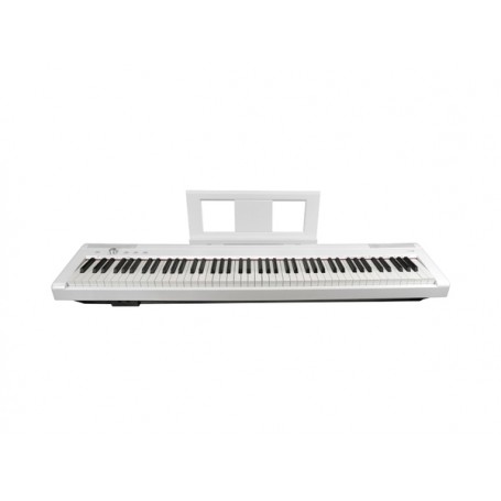 ECHORD EP88 White