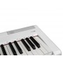 ECHORD EP88 White