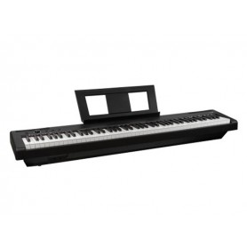 ECHORD EP88 Black