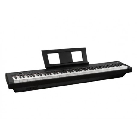 ECHORD EP88 Black